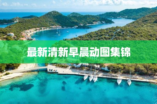 最新清新早晨动图集锦