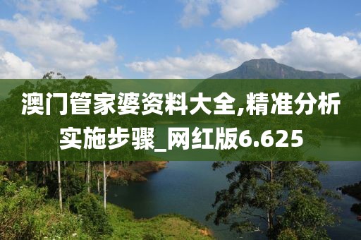 澳门管家婆资料大全,精准分析实施步骤_网红版6.625