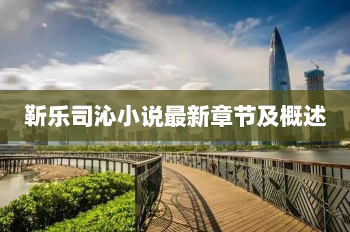 靳乐司沁小说最新章节及概述