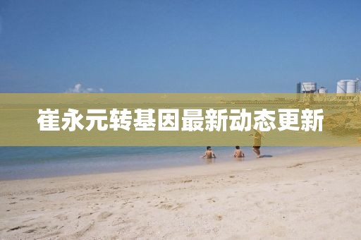 崔永元转基因最新动态更新