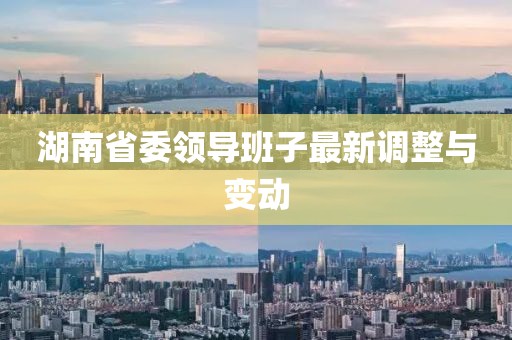湖南省委领导班子最新调整与变动