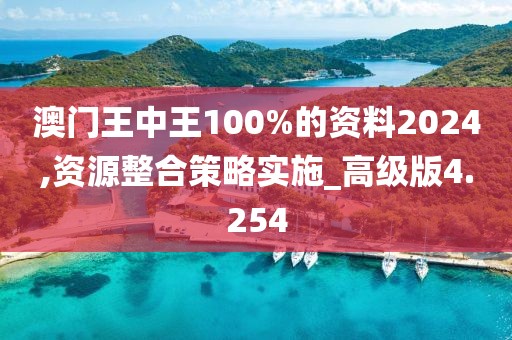 澳门王中王100%的资料2024,资源整合策略实施_高级版4.254