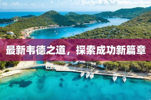 最新韦德之道，探索成功新篇章