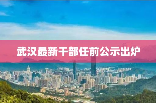 武汉最新干部任前公示出炉