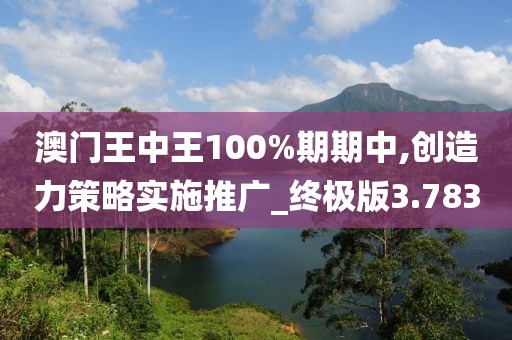澳门王中王100%期期中,创造力策略实施推广_终极版3.783