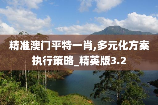 精准澳门平特一肖,多元化方案执行策略_精英版3.2