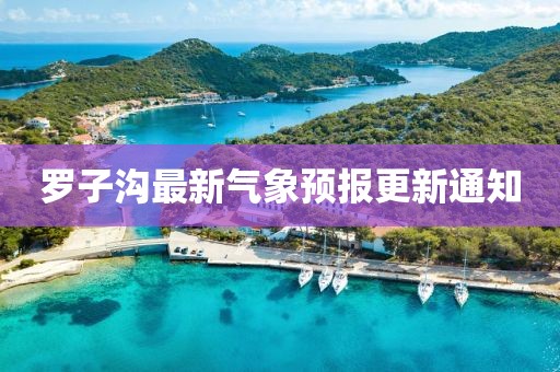 罗子沟最新气象预报更新通知