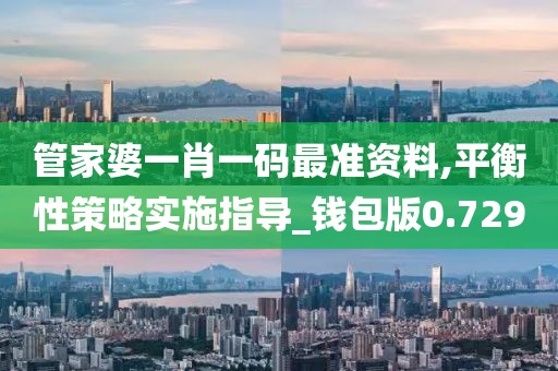 管家婆一肖一码最准资料,平衡性策略实施指导_钱包版0.729
