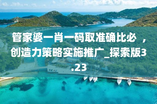 管家婆一肖一码取准确比必  ,创造力策略实施推广_探索版3.23
