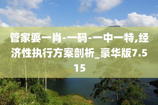 管家婆一肖-一码-一中一特,经济性执行方案剖析_豪华版7.515