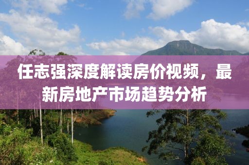 任志强深度解读房价视频，最新房地产市场趋势分析