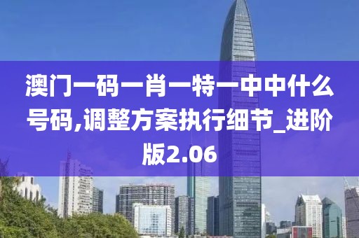 澳门一码一肖一特一中中什么号码,调整方案执行细节_进阶版2.06