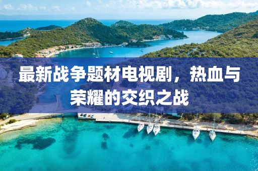 最新战争题材电视剧，热血与荣耀的交织之战