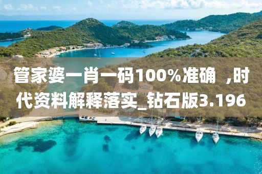 管家婆一肖一码100%准确  ,时代资料解释落实_钻石版3.196