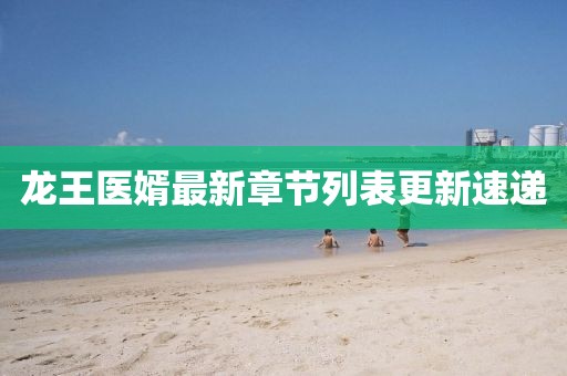 龙王医婿最新章节列表更新速递