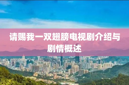 请赐我一双翅膀电视剧介绍与剧情概述