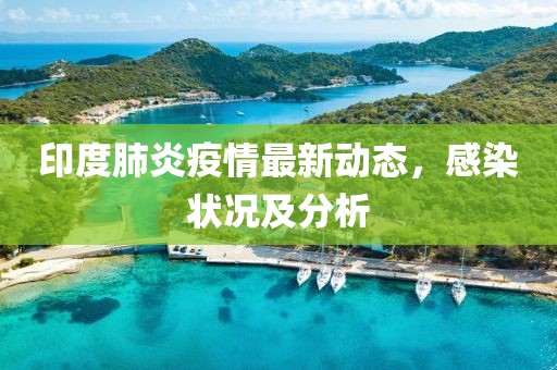 印度肺炎疫情最新动态，感染状况及分析
