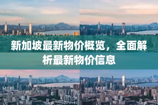 新加坡最新物价概览，全面解析最新物价信息