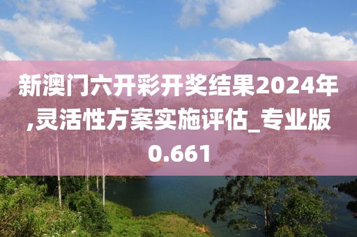 新澳门六开彩开奖结果2024年,灵活性方案实施评估_专业版0.661
