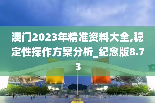 澳门2023年精准资料大全,稳定性操作方案分析_纪念版8.73
