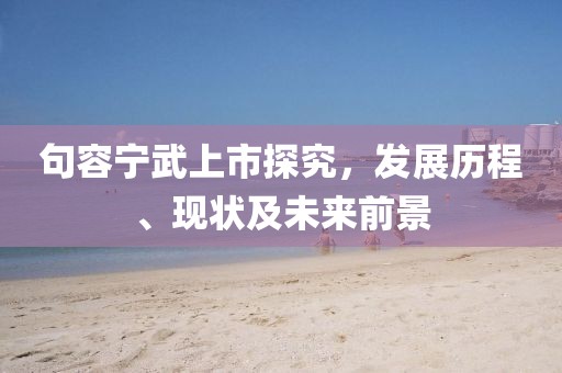句容宁武上市探究，发展历程、现状及未来前景