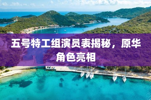 五号特工组演员表揭秘，原华角色亮相