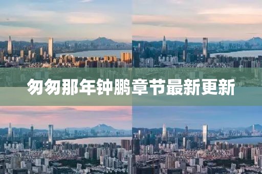 匆匆那年钟鹏章节最新更新