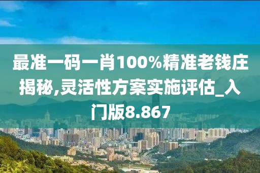 最准一码一肖100%精准老钱庄揭秘,灵活性方案实施评估_入门版8.867