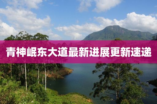 青神岷东大道最新进展更新速递