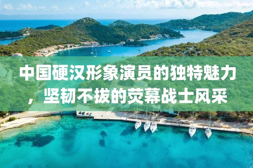 中国硬汉形象演员的独特魅力，坚韧不拔的荧幕战士风采