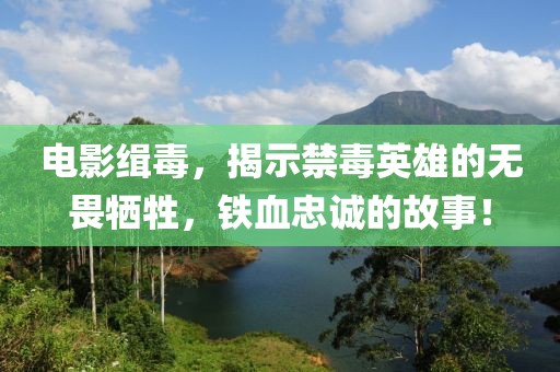 电影缉毒，揭示禁毒英雄的无畏牺牲，铁血忠诚的故事！