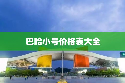 巴哈小号价格表大全