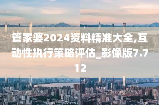 管家婆2024资料精准大全,互动性执行策略评估_影像版7.712