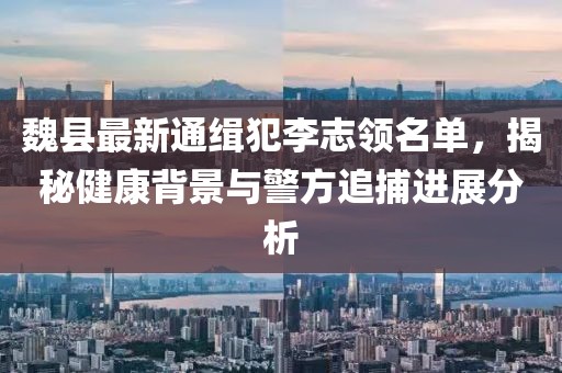 魏县最新通缉犯李志领名单，揭秘健康背景与警方追捕进展分析