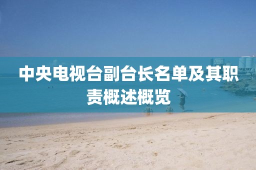 中央电视台副台长名单及其职责概述概览