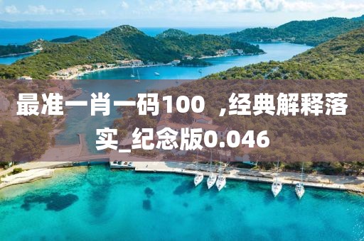 最准一肖一码100  ,经典解释落实_纪念版0.046