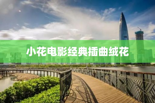 小花电影经典插曲绒花