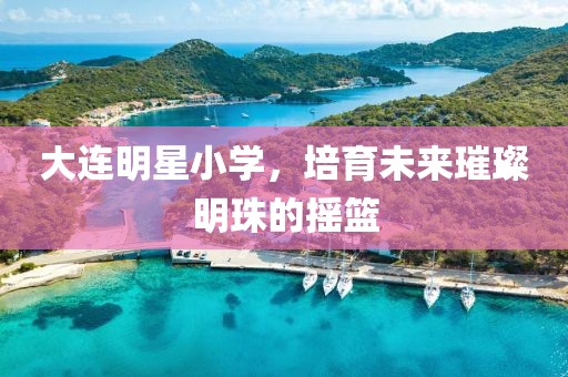 大连明星小学，培育未来璀璨明珠的摇篮