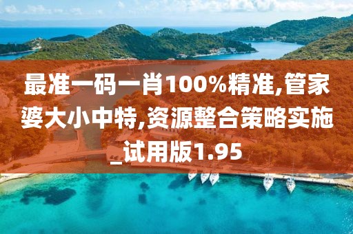 最准一码一肖100%精准,管家婆大小中特,资源整合策略实施_试用版1.95