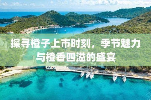 探寻橙子上市时刻，季节魅力与橙香四溢的盛宴