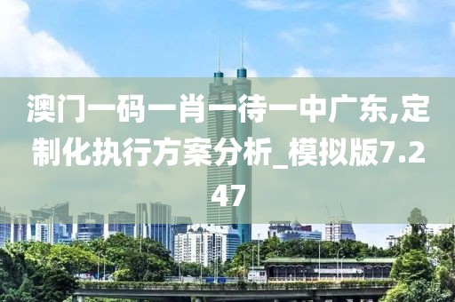 澳门一码一肖一待一中广东,定制化执行方案分析_模拟版7.247