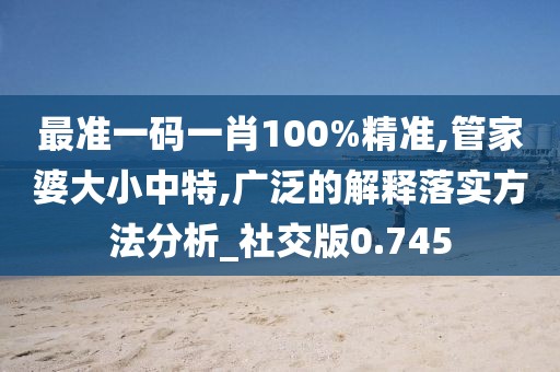 最准一码一肖100%精准,管家婆大小中特,广泛的解释落实方法分析_社交版0.745