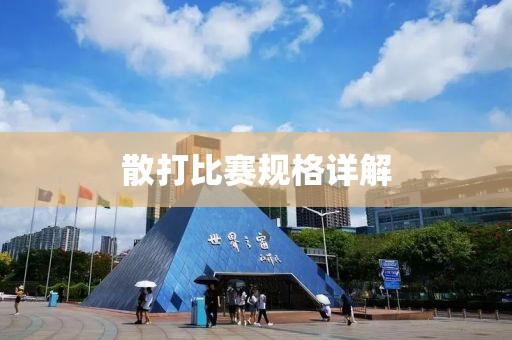 散打比赛规格详解