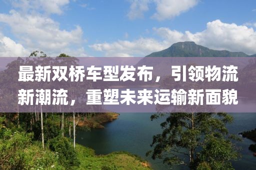 最新双桥车型发布，引领物流新潮流，重塑未来运输新面貌