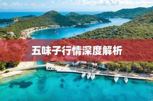 五味子行情深度解析