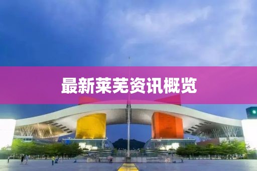 最新莱芜资讯概览