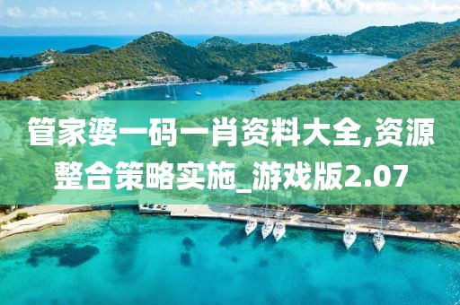 管家婆一码一肖资料大全,资源整合策略实施_游戏版2.07