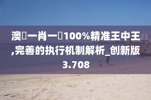 澳門一肖一碼100%精准王中王,完善的执行机制解析_创新版3.708