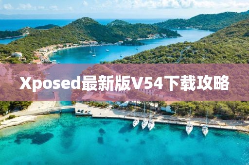 Xposed最新版V54下载攻略