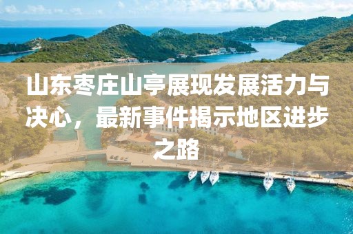 山东枣庄山亭展现发展活力与决心，最新事件揭示地区进步之路